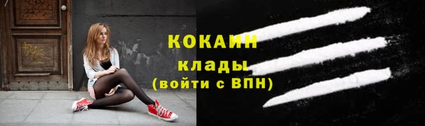 ГАЛЛЮЦИНОГЕННЫЕ ГРИБЫ Семёнов