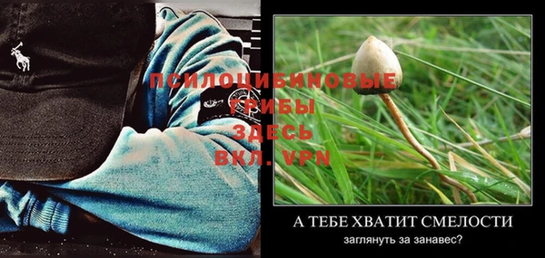 ГАЛЛЮЦИНОГЕННЫЕ ГРИБЫ Семёнов