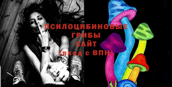 ГАЛЛЮЦИНОГЕННЫЕ ГРИБЫ Семёнов