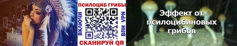 Купить где  Шадринск  Псилоцибиновые грибы ЛСД 